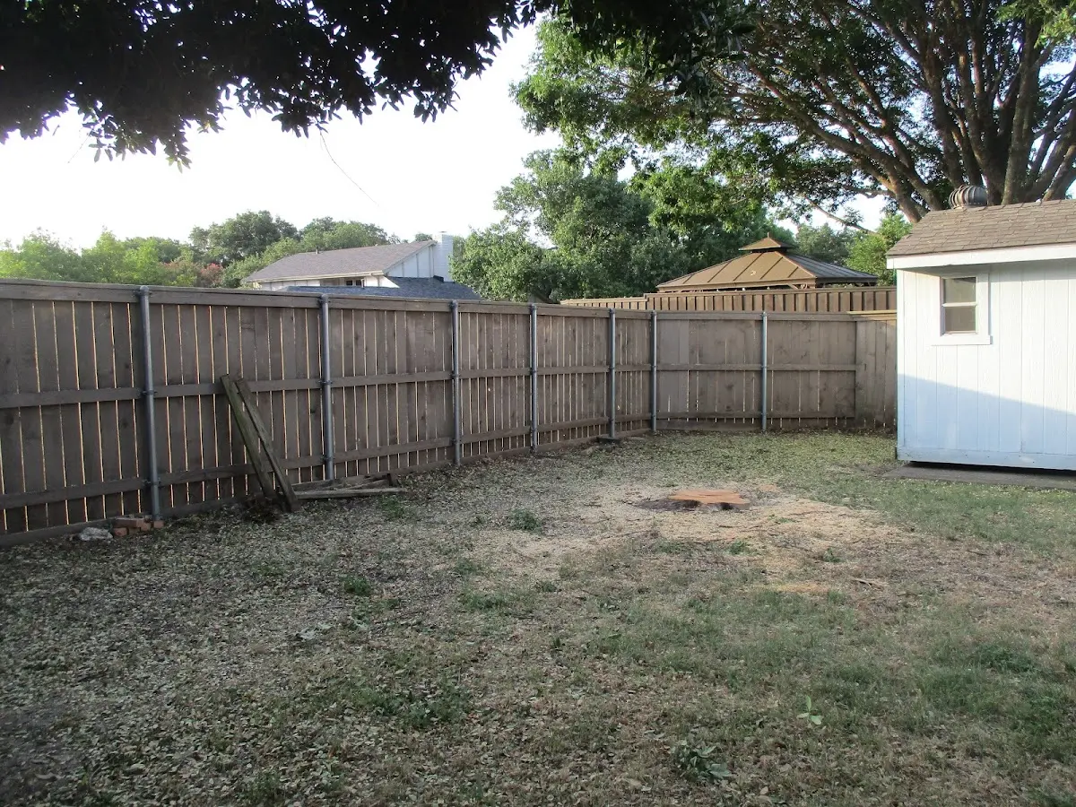 Cleared yard after professional tree removal in Stonyford